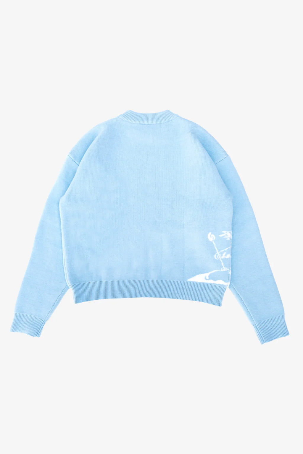 ZORI Women Knit Sweater – Sky Blue Winter Wear